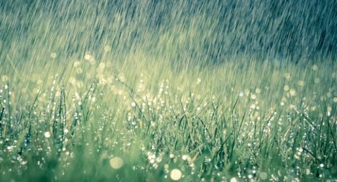 Air Hujan. 7 Macam Air yang Bisa Digunakan untuk Bersuci atau Thaharah